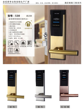 深圳高端品质时尚新型感应门锁